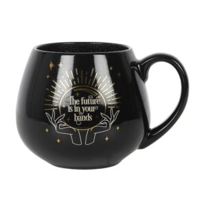 Fortune Teller Black Colour Changing Mug